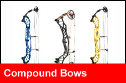 Bows - Compound