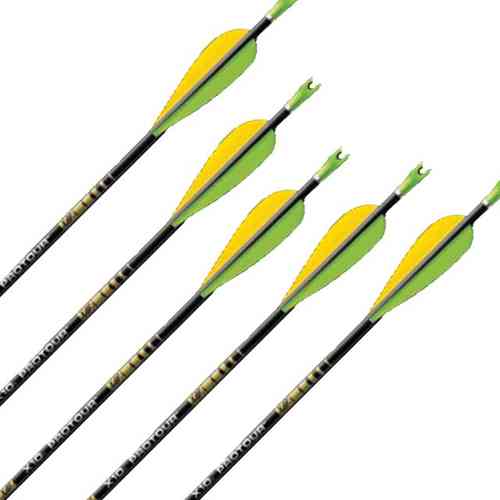 12 x X10 Protour Arrows