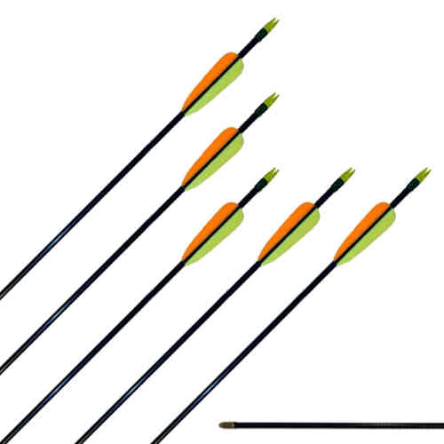 Carbon Fibre Arrows (X12)