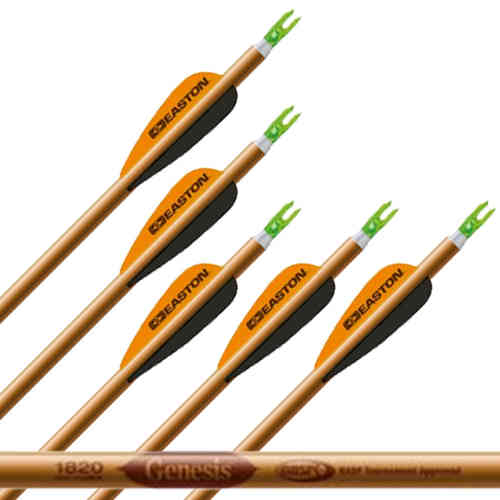 Easton Genesis Arrows
